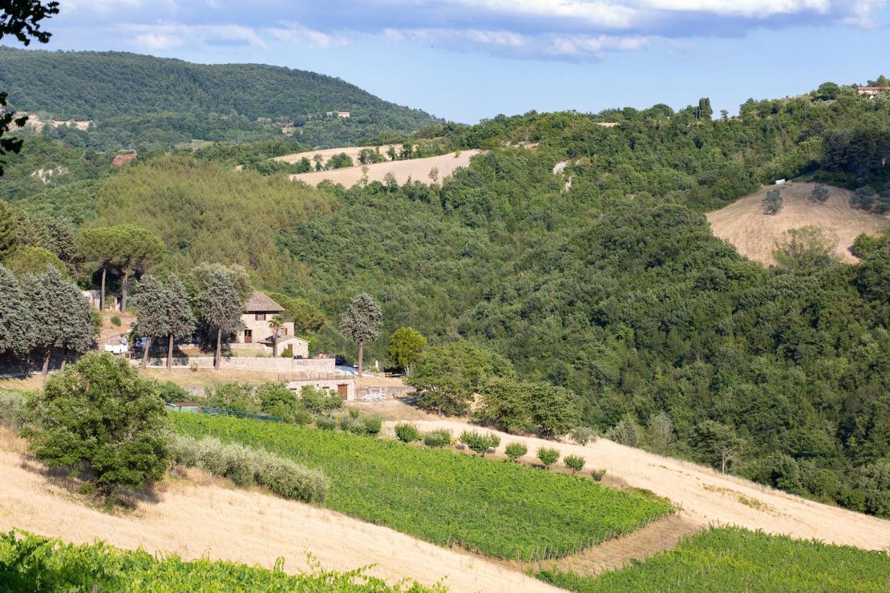 Agriturismo Colle Pu Pieve San Nicolo Extérieur photo