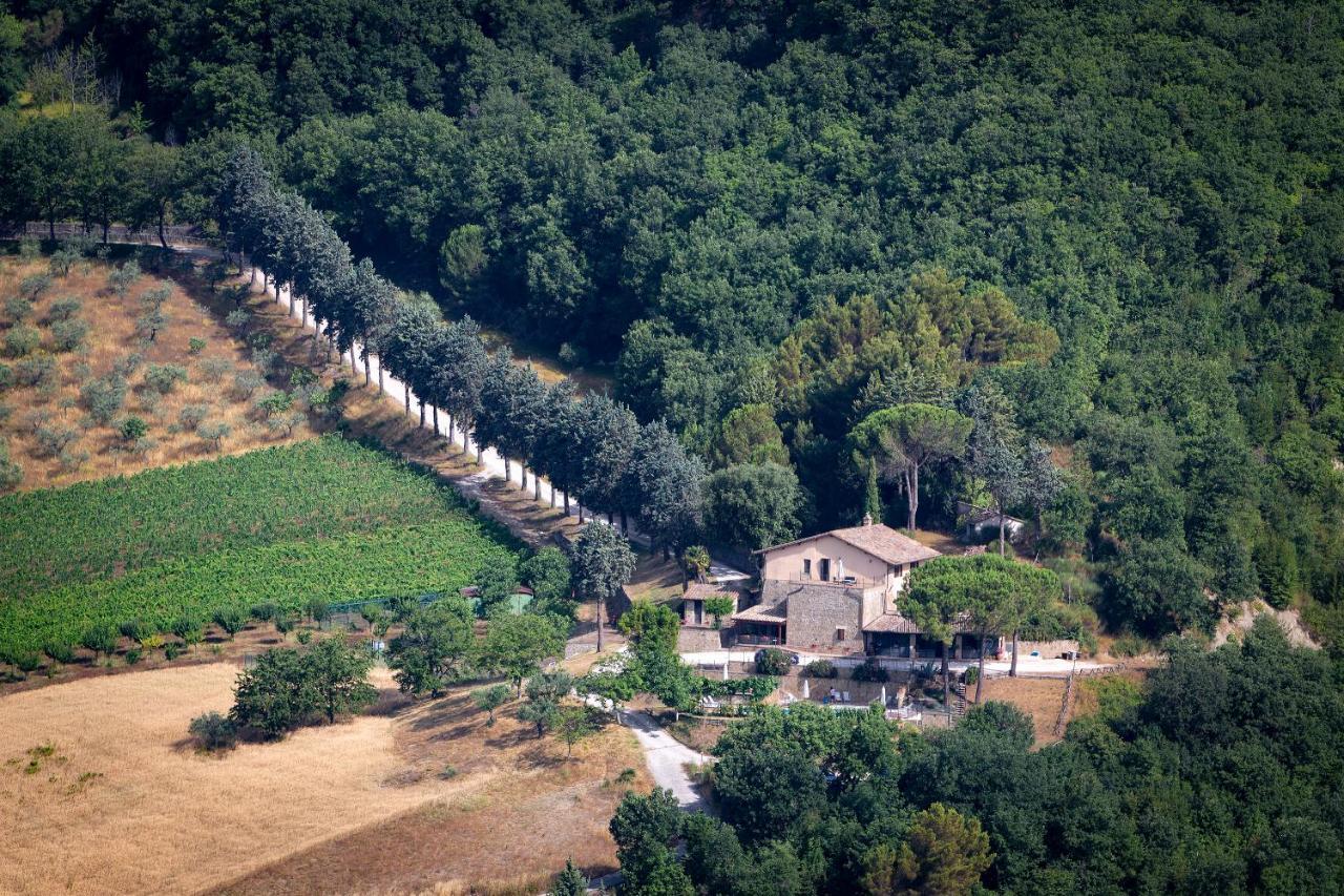 Agriturismo Colle Pu Pieve San Nicolo Extérieur photo