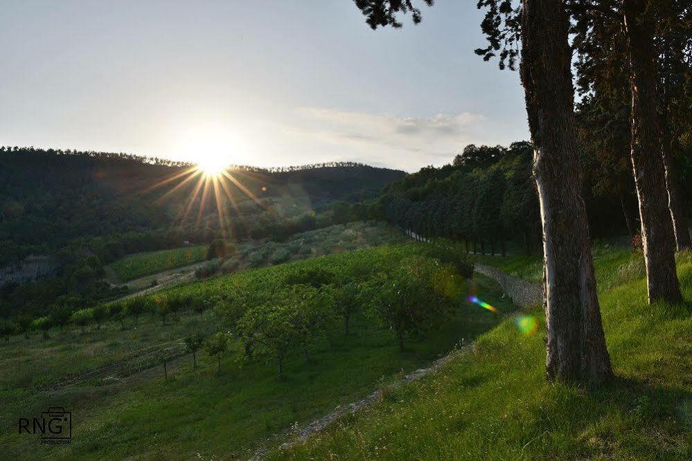 Agriturismo Colle Pu Pieve San Nicolo Extérieur photo