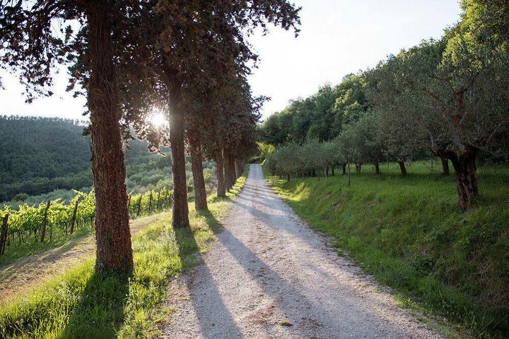 Agriturismo Colle Pu Pieve San Nicolo Extérieur photo